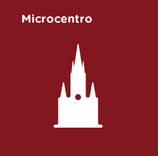 Centro Comercial Microcentro